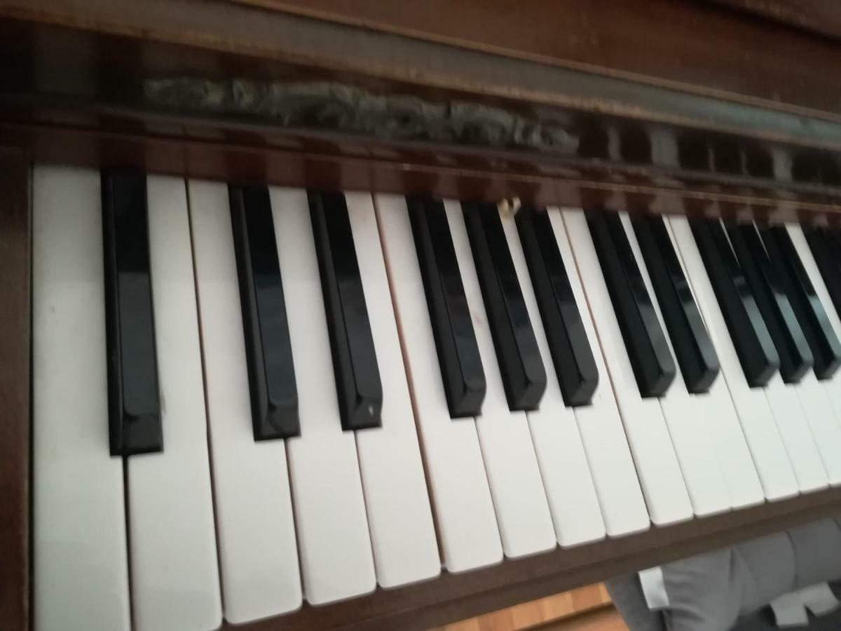 זבלטיצה The Piano Apartment מראה חיצוני תמונה